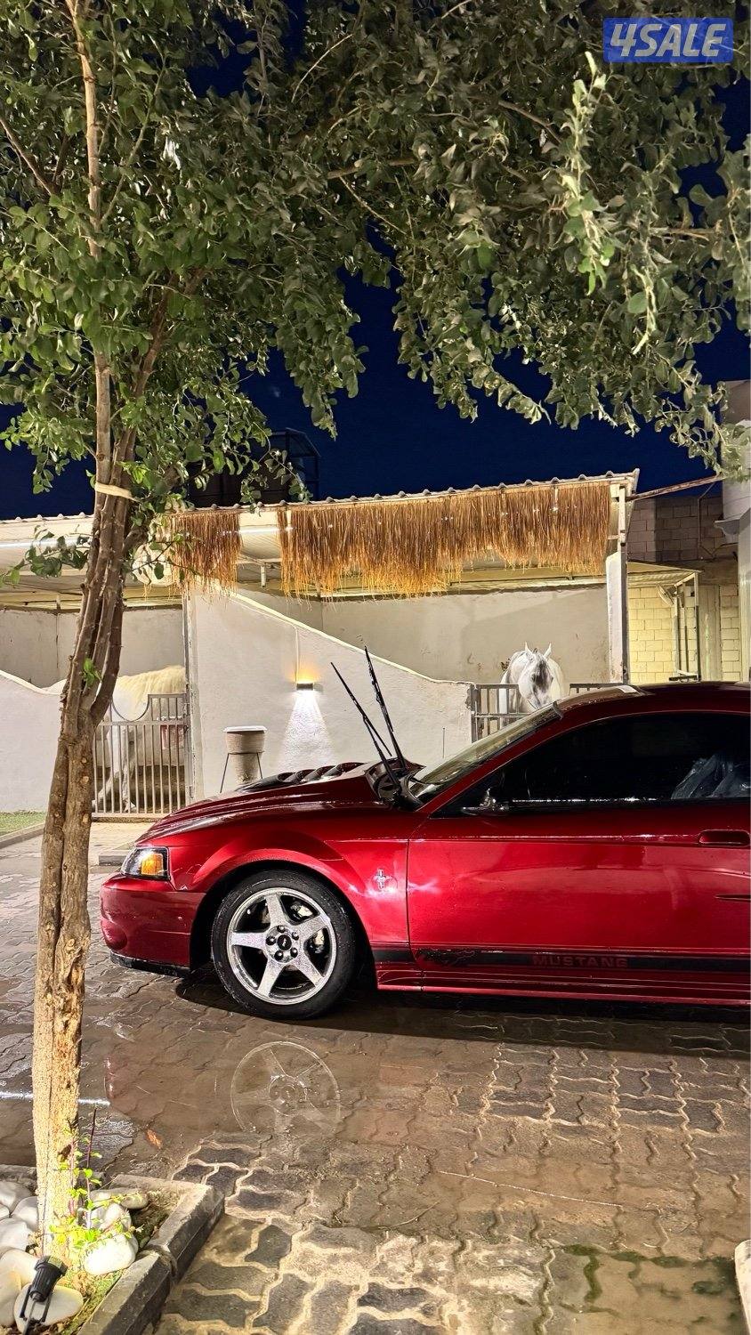 موستنق 2003 "ماشي 85 كيلو "2