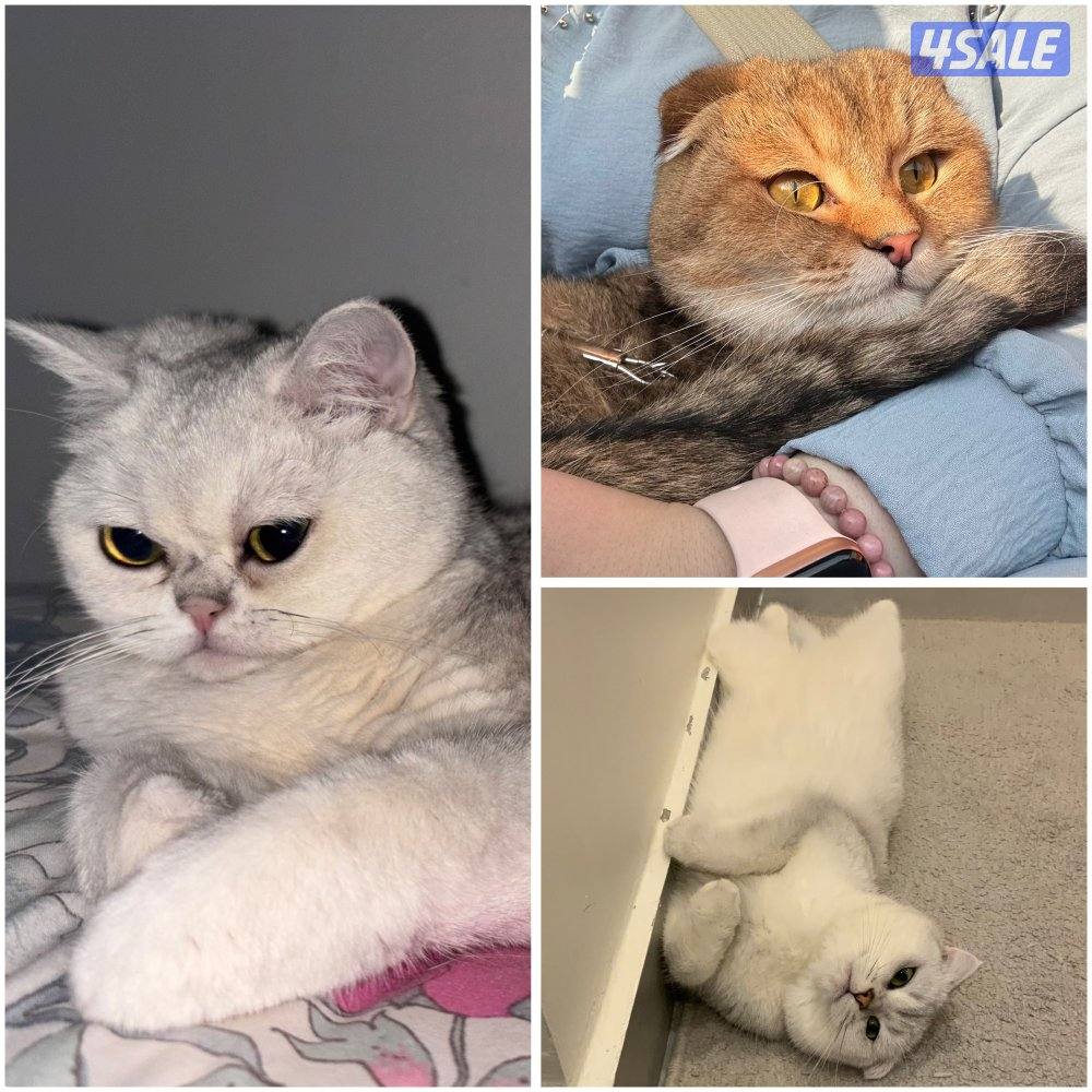 تم الحجز 🛑0