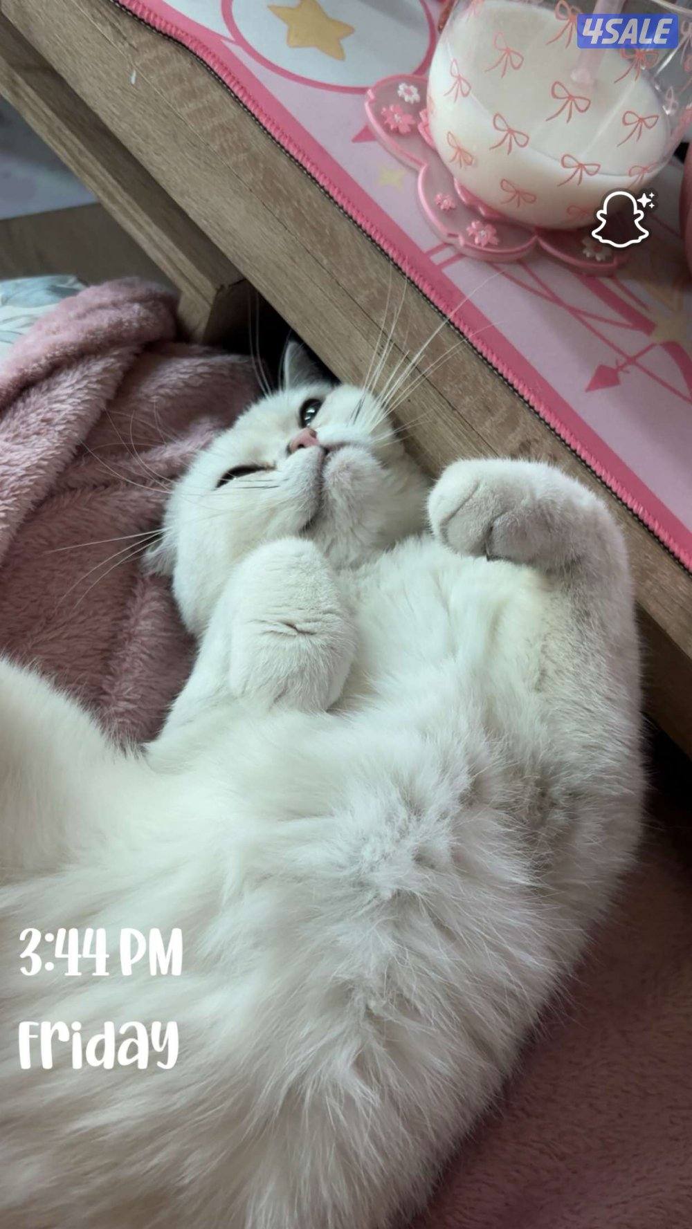 تم الحجز 🛑2