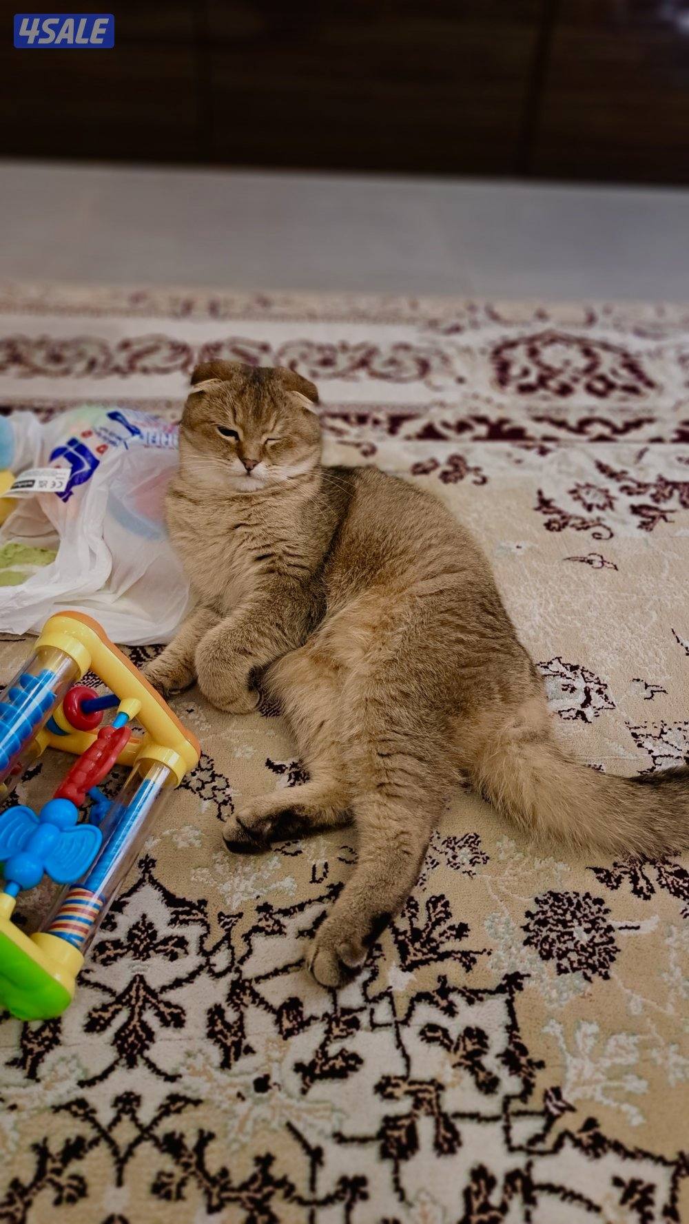 تم الحجز 🛑3