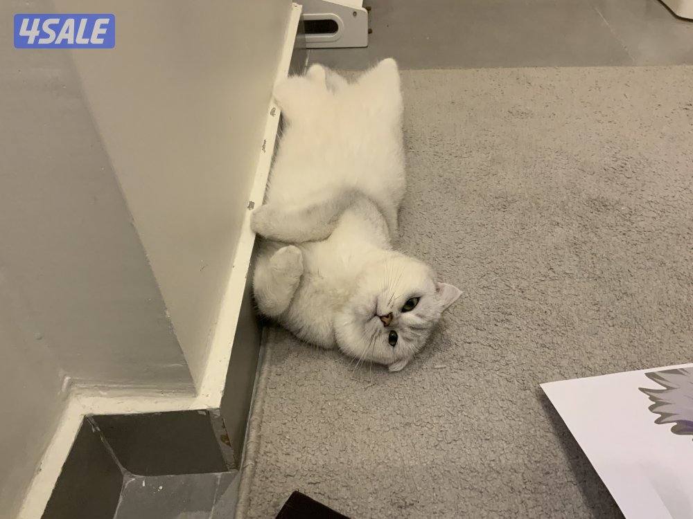 تم الحجز 🛑5