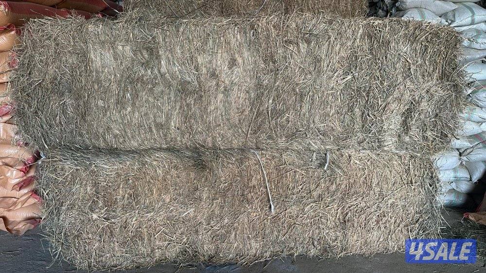 للبيع رودس  باكستاني0