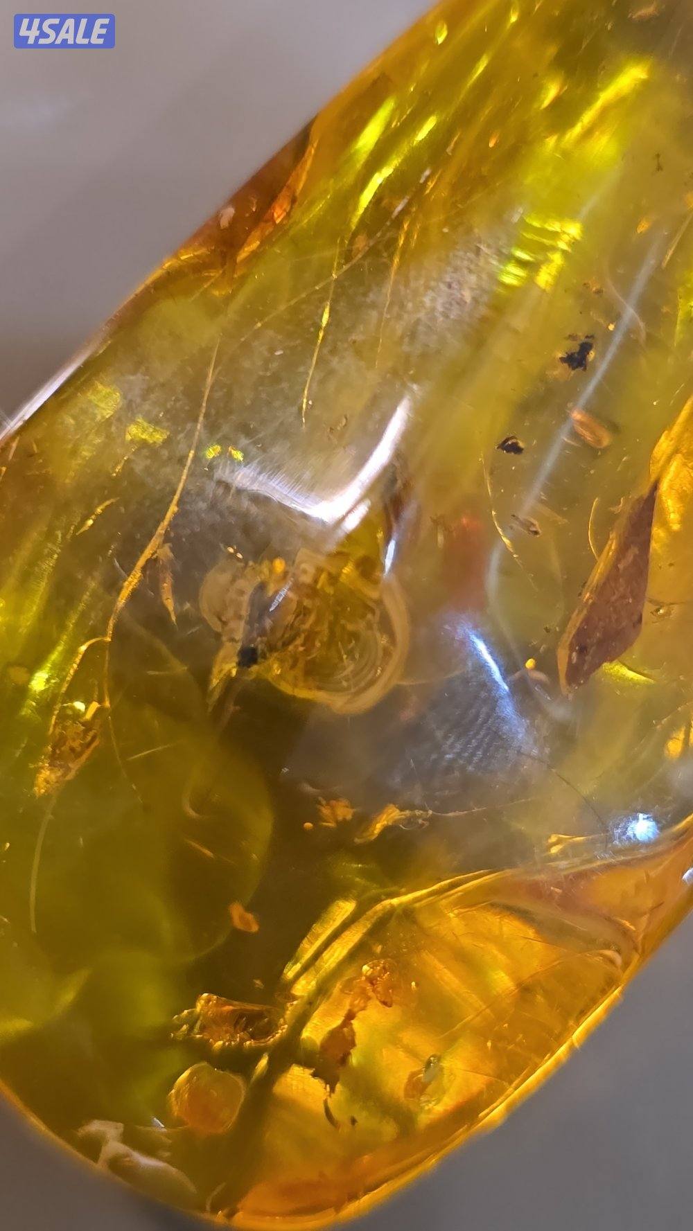 احجار كهرب محشرة5