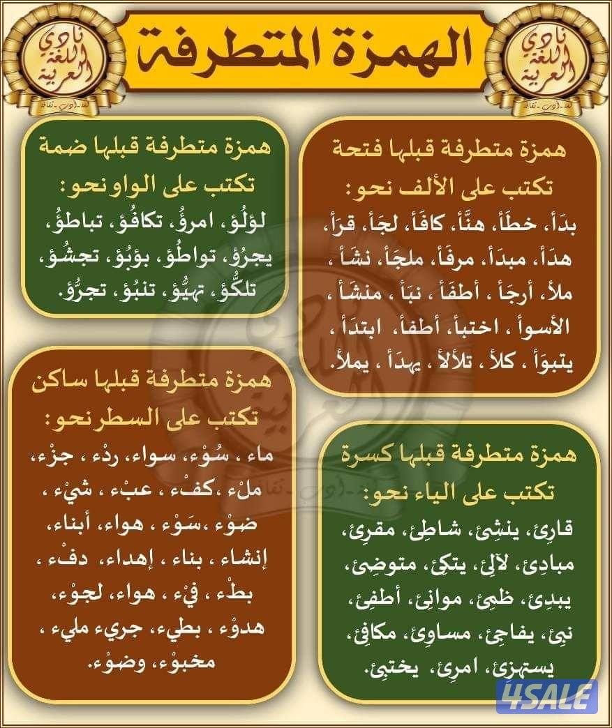 مدرس لغة عربية جميع المراحل0