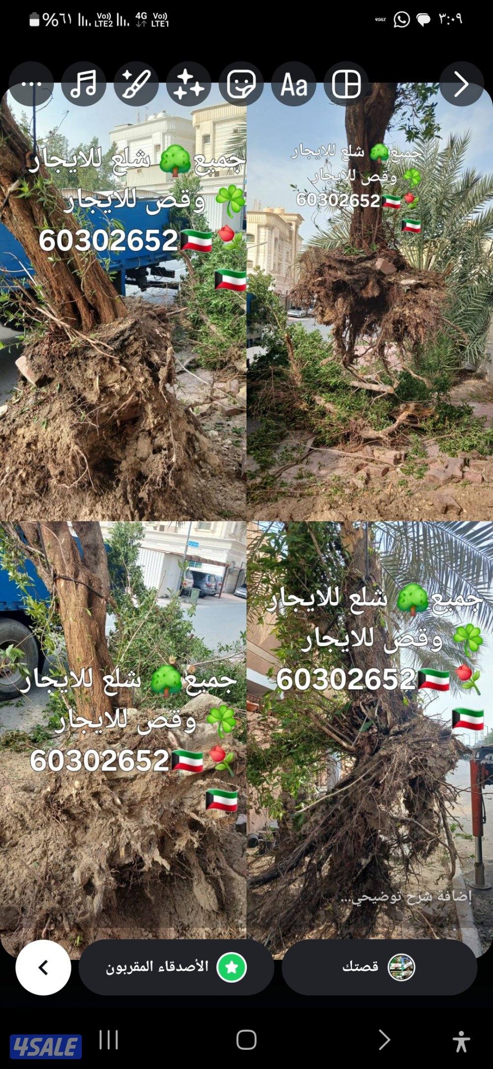 🌴ابو على جميع نظافه النخل🌴 خبره ٢٠ عاما جميع قص الاشجار اسعار مغرية6