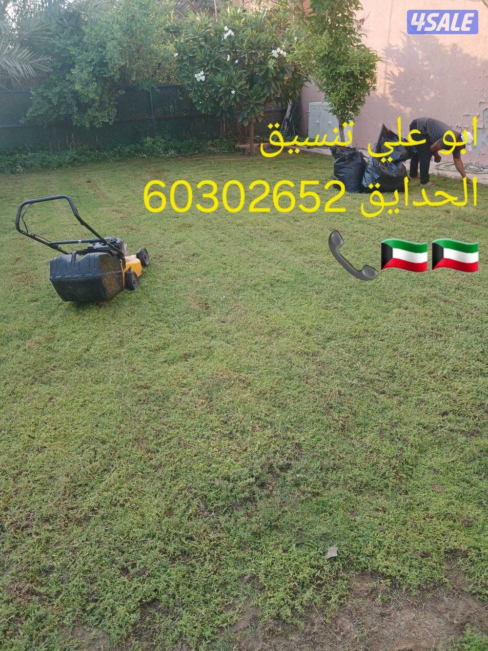 🌴ابو على جميع نظافه النخل🌴 خبره ٢٠ عاما جميع قص الاشجار اسعار مغرية10