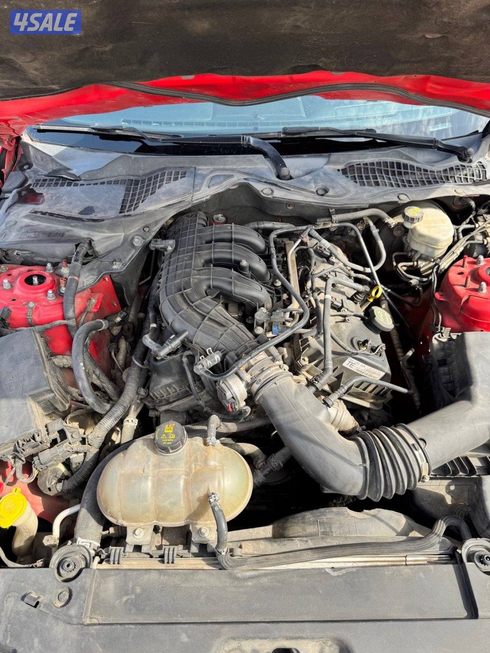 Ford Mustang 2015 V66