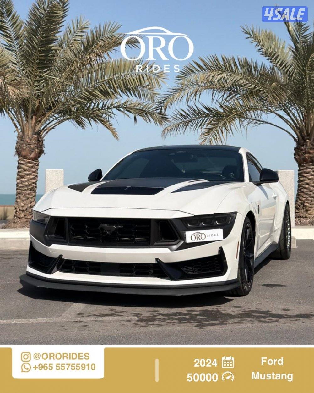 Ford Mostang Dark Horse0