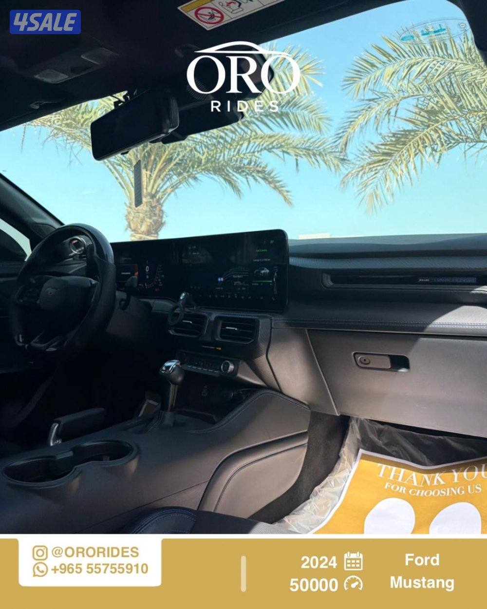 Ford Mostang Dark Horse2