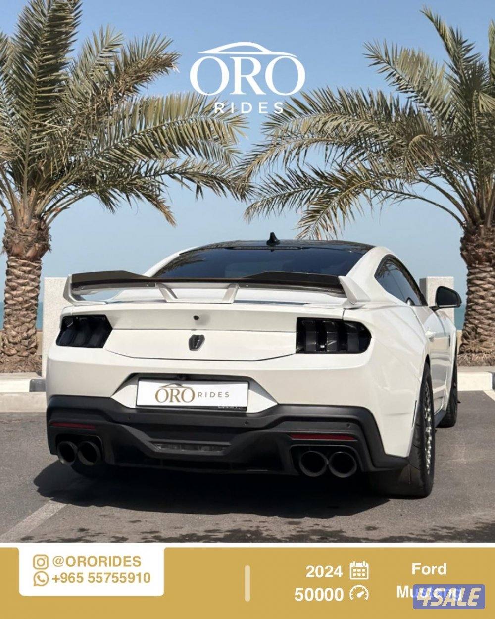 Ford Mostang Dark Horse1