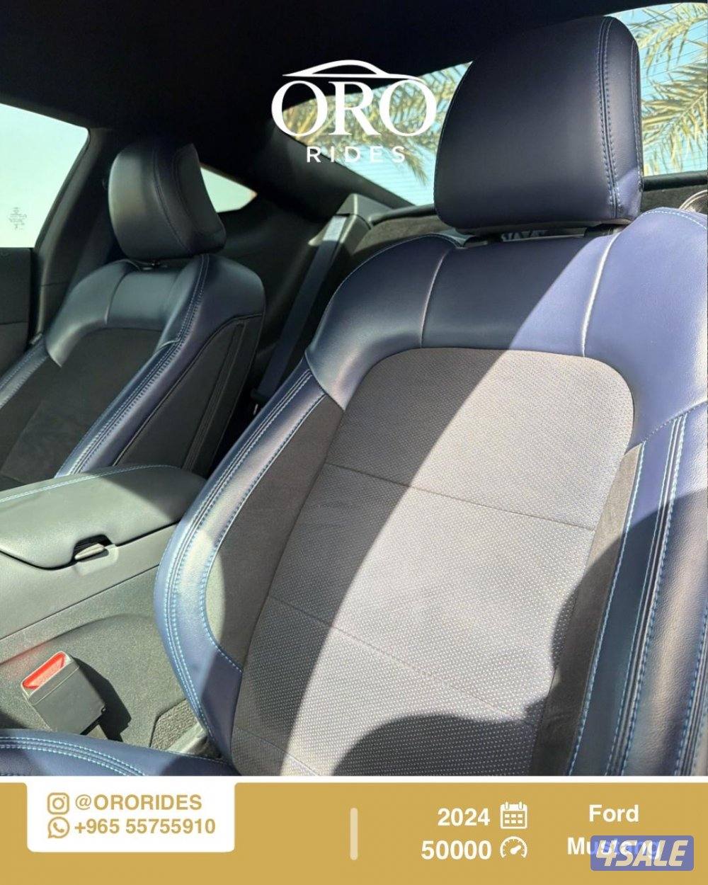 Ford Mostang Dark Horse4