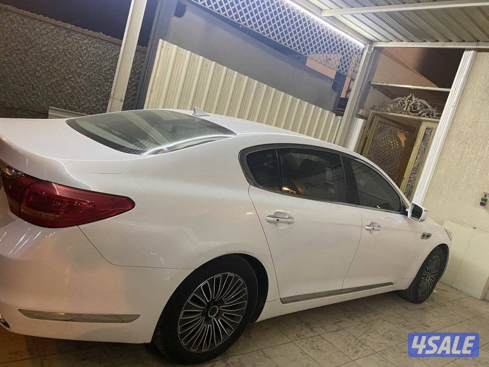 كامل مواصفات صبغ الوكاله خفس بالشاصي لاياثر بالاستخدام اثر مطاب1