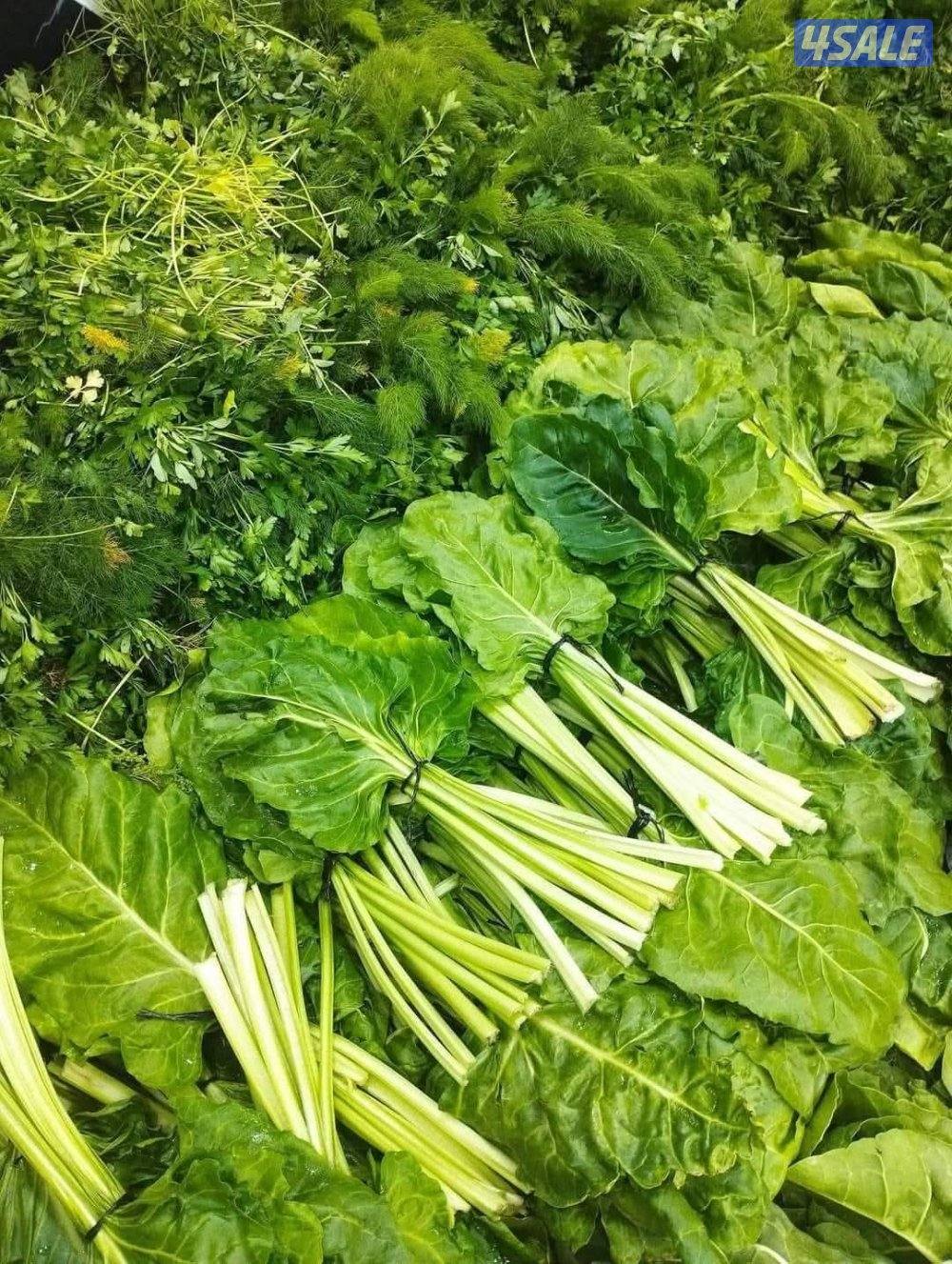 ابحث عن عمل في مجال الخضار والفواكة1