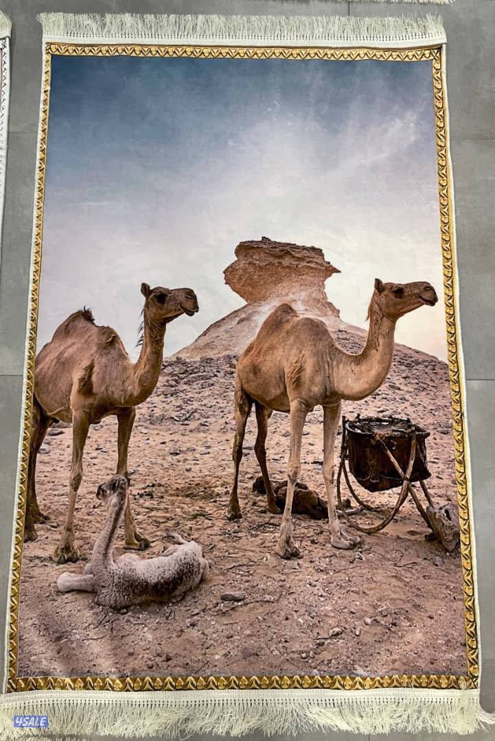 بيض نعام مرسوم عليه15