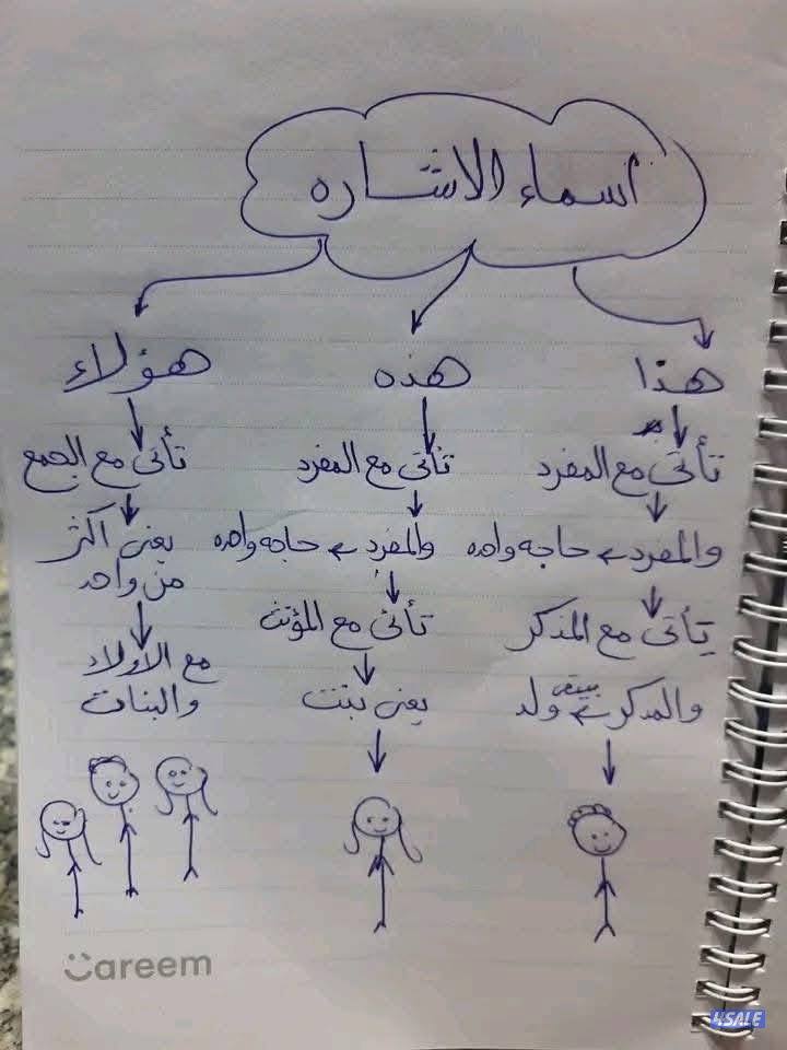 مدرسه تاسيس ابتدائي شامل صفوف (١-٤)المواد الاساسيه7