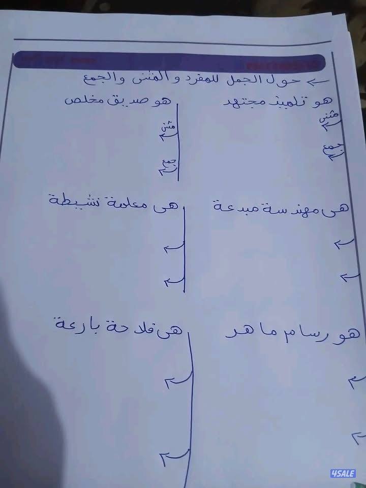 مدرسه تاسيس ابتدائي شامل صفوف (١-٤)المواد الاساسيه12