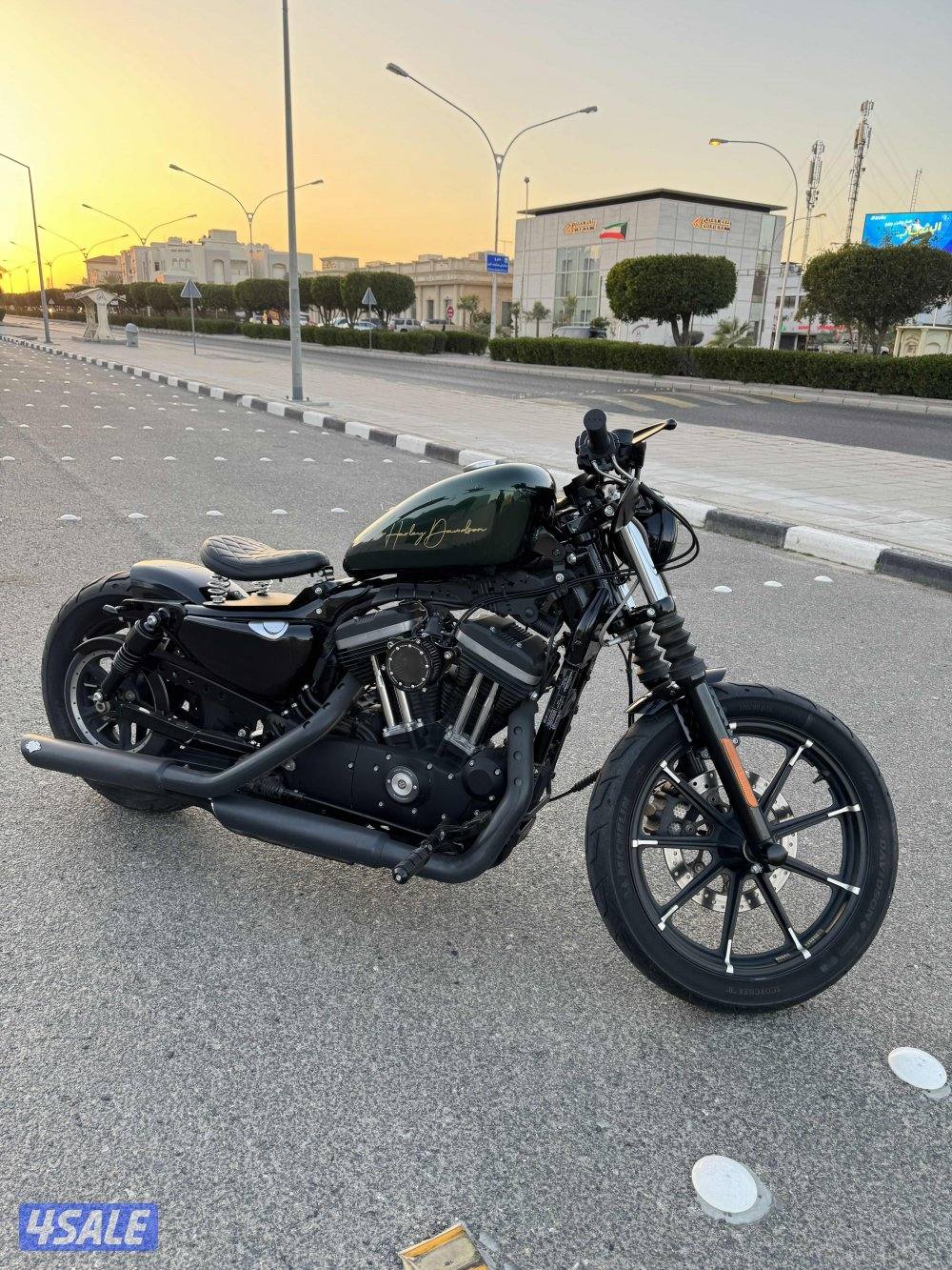 Sportster iron 20202