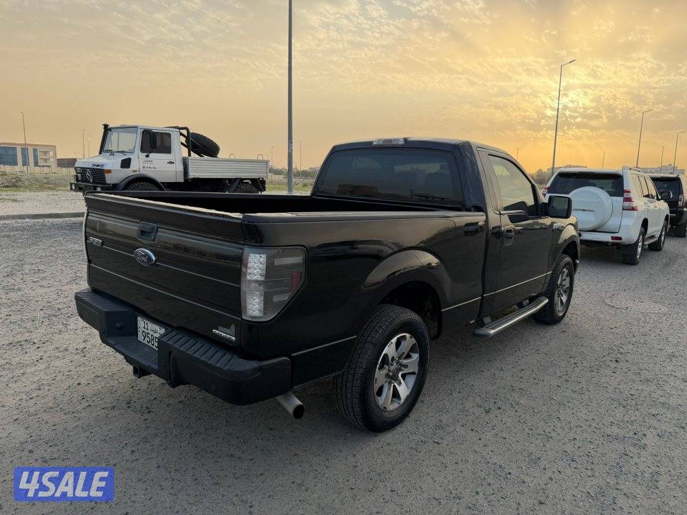 وانيت فورد 20131