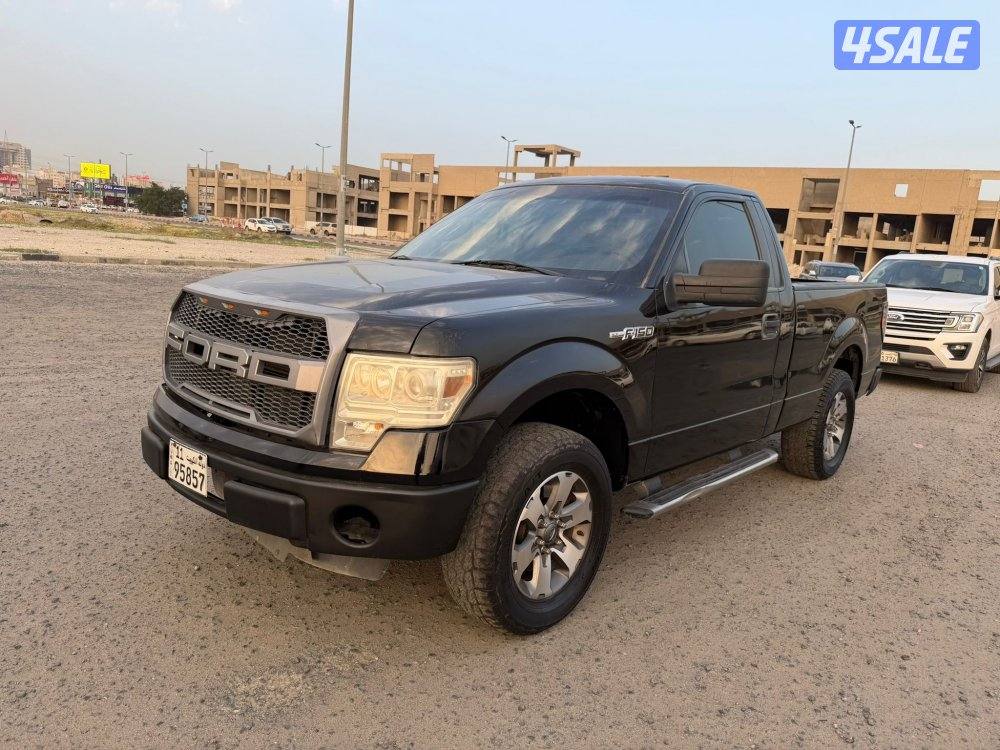 وانيت فورد 20132