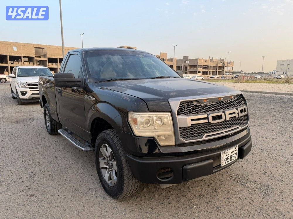 وانيت فورد 20133