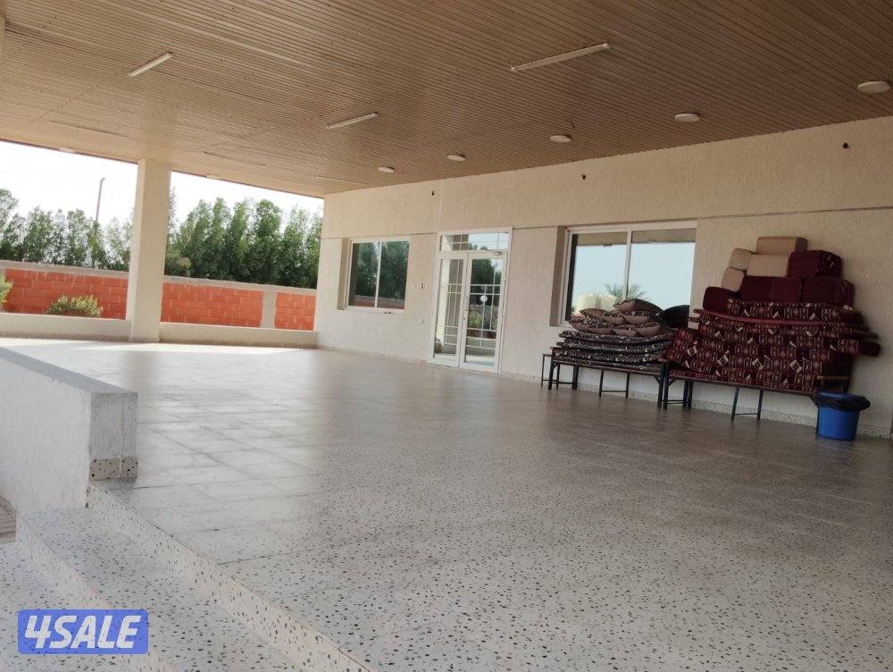 للإيجار دوانيه في العبدلي ق ٢4