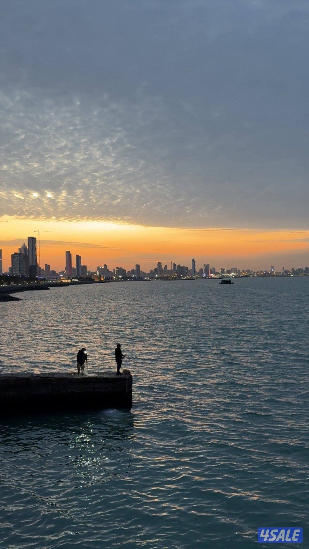 لدي شهادة وخبرة من غير محددي الجنسية0
