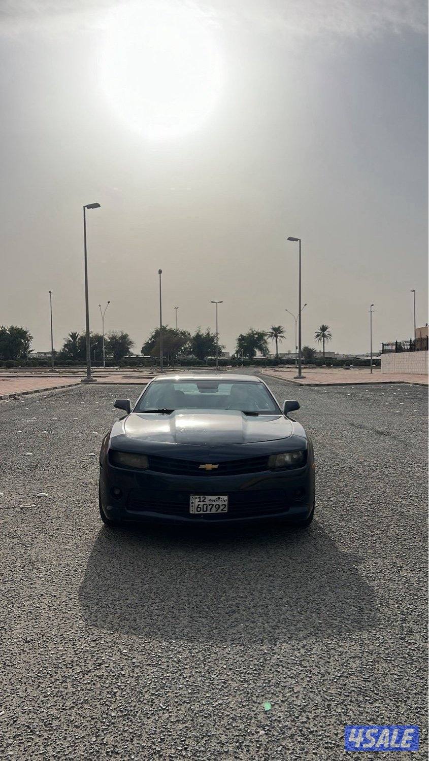 كمارو 2014 ممشى 177 الف2