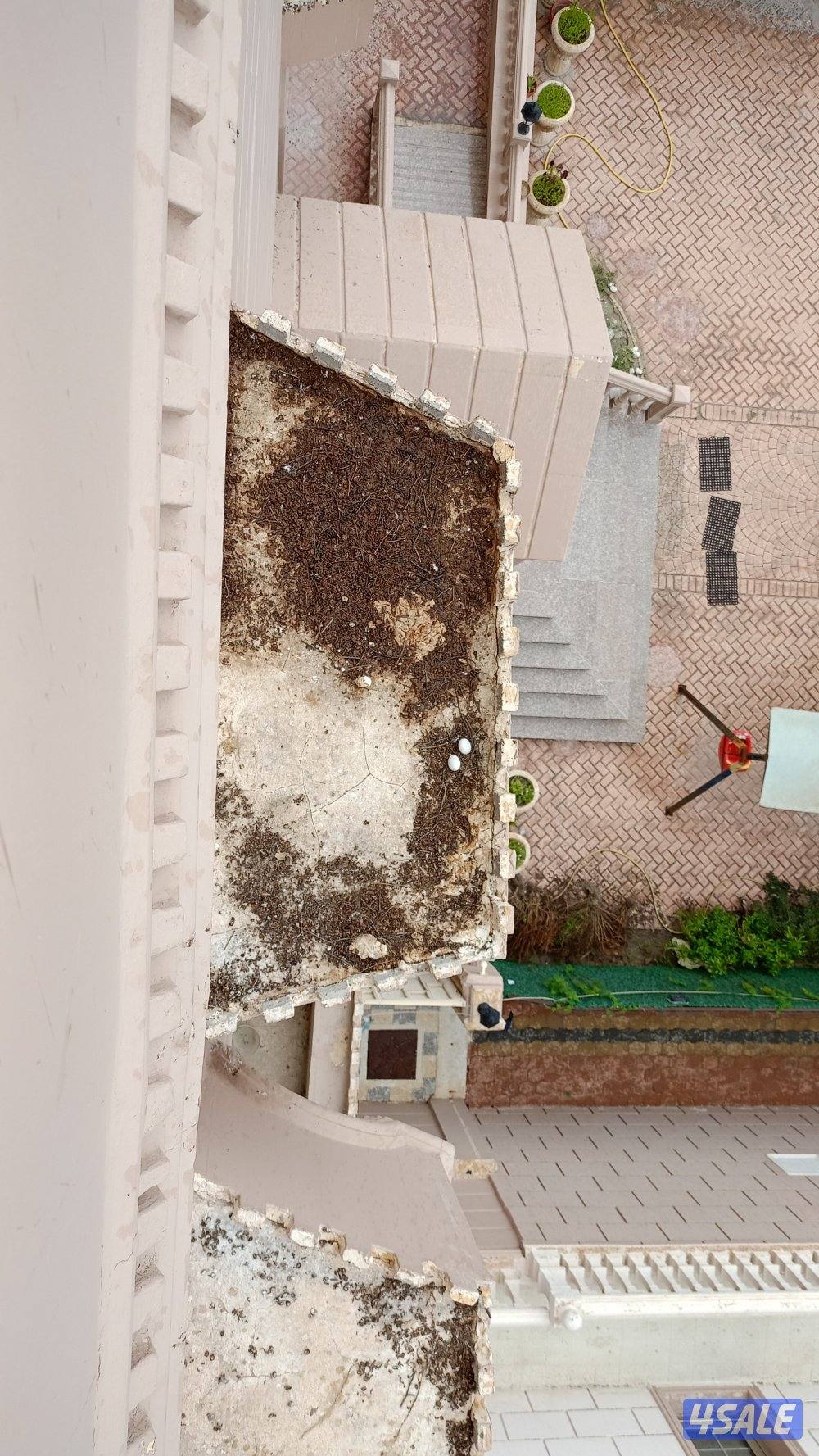 طارد حمام وطيور بأرخص الاسعار8