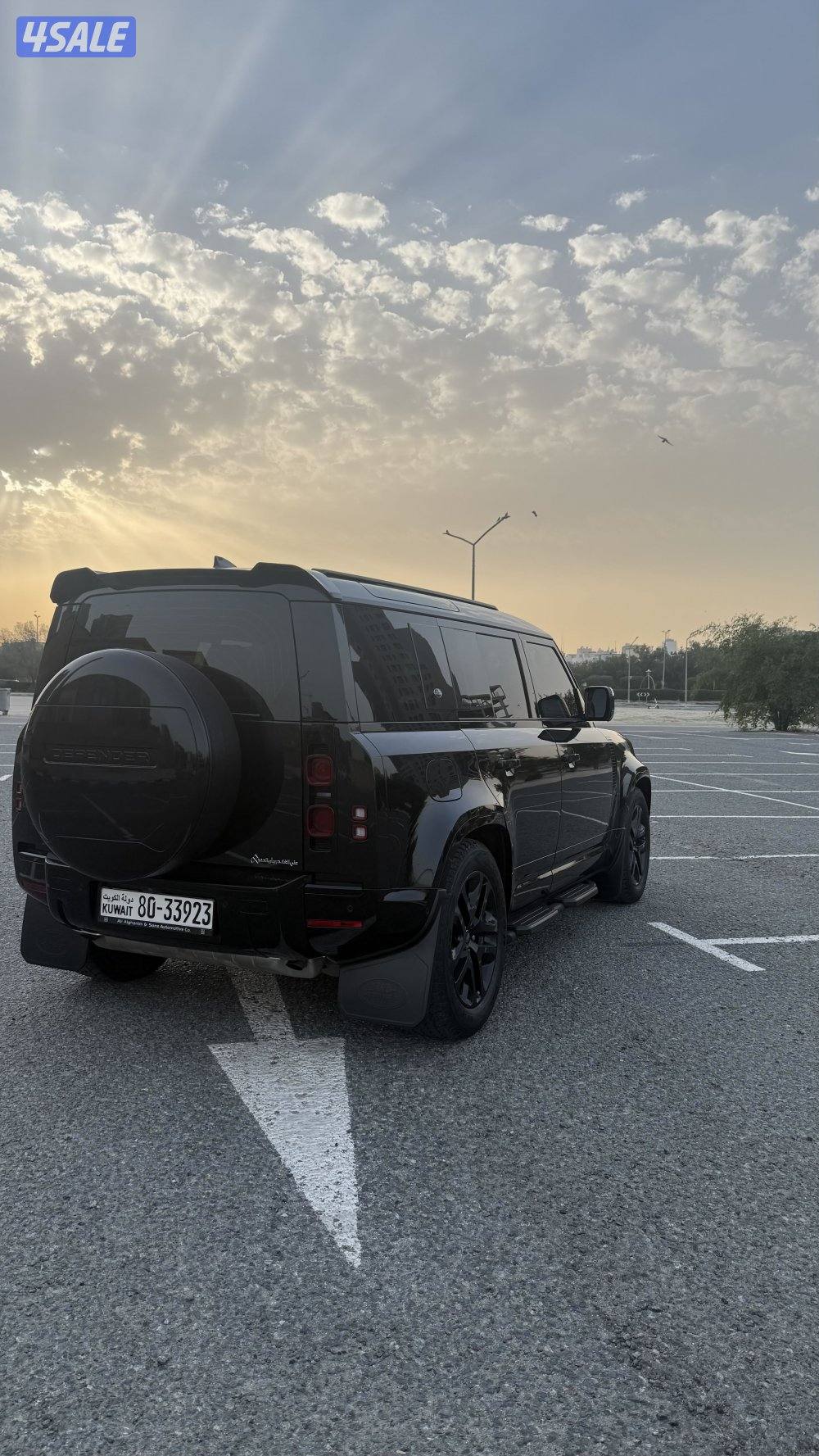 Defender 110 HSE 20242