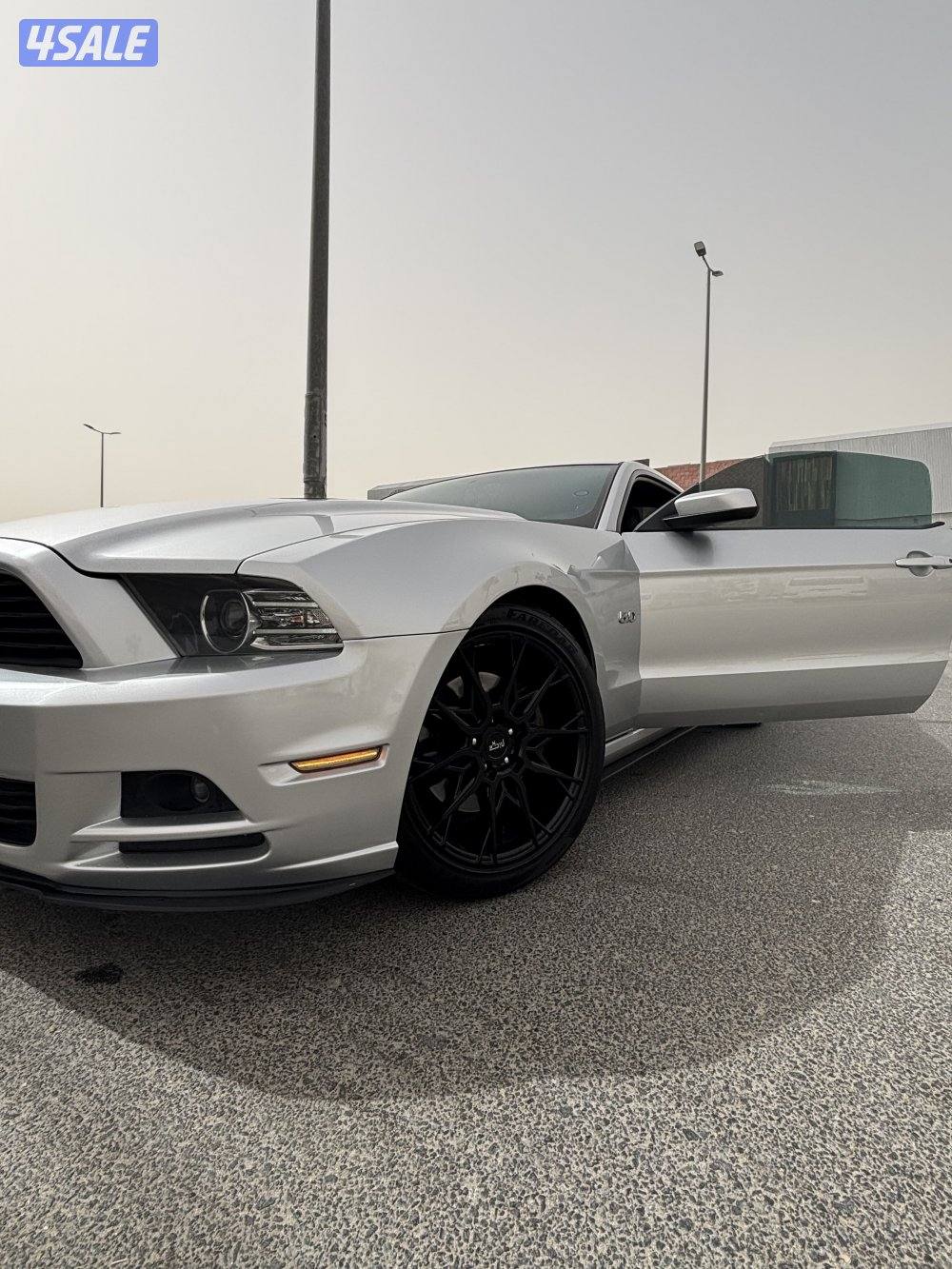 موستنق ٢٠١٣0