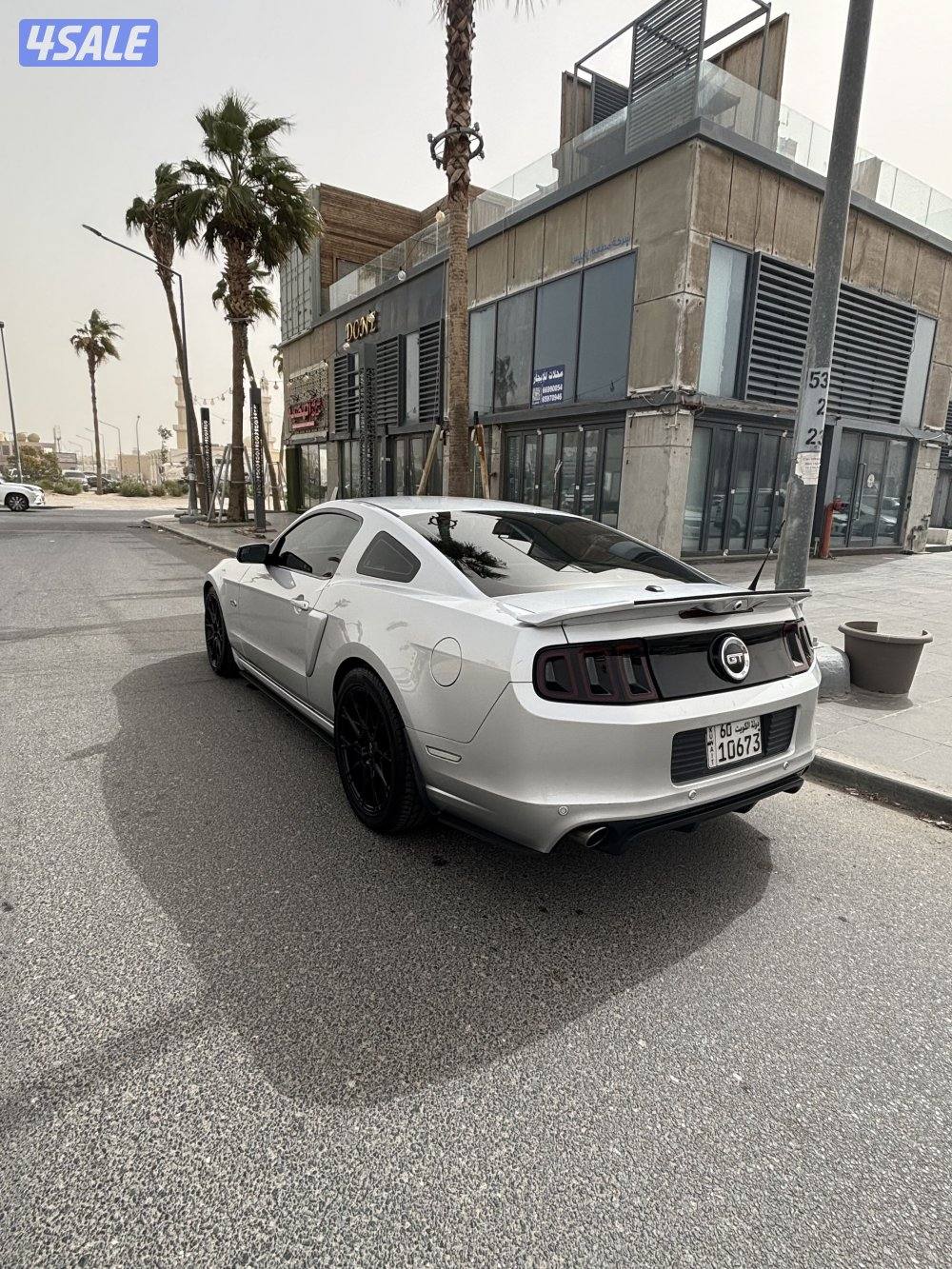 موستنق ٢٠١٣1