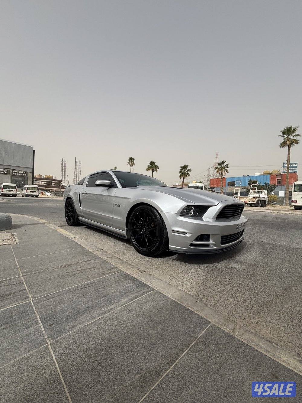 موستنق ٢٠١٣2