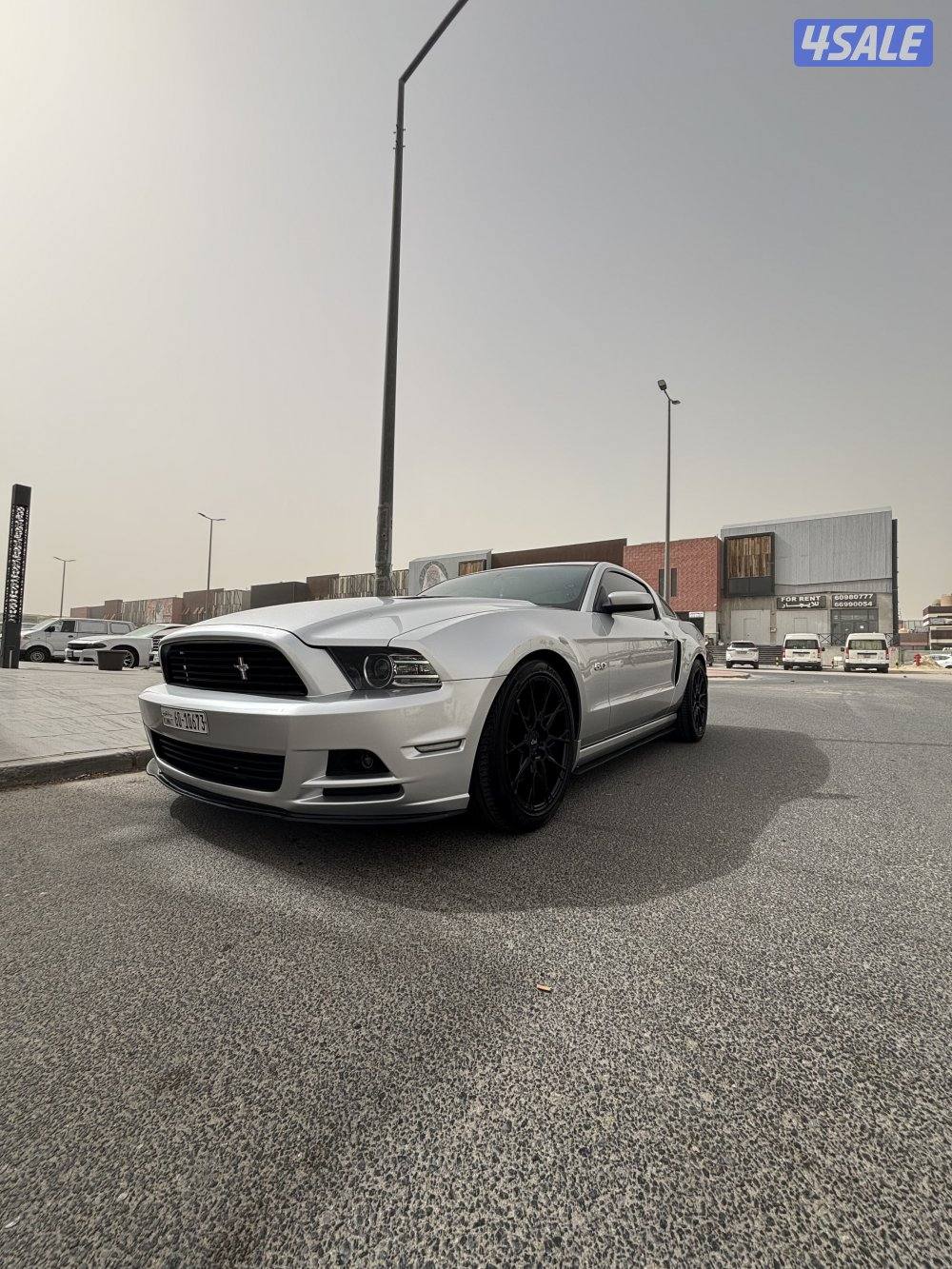 موستنق ٢٠١٣4