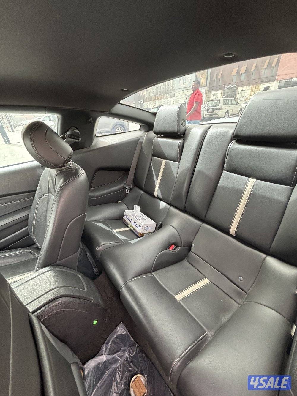 موستنق ٢٠١٣6