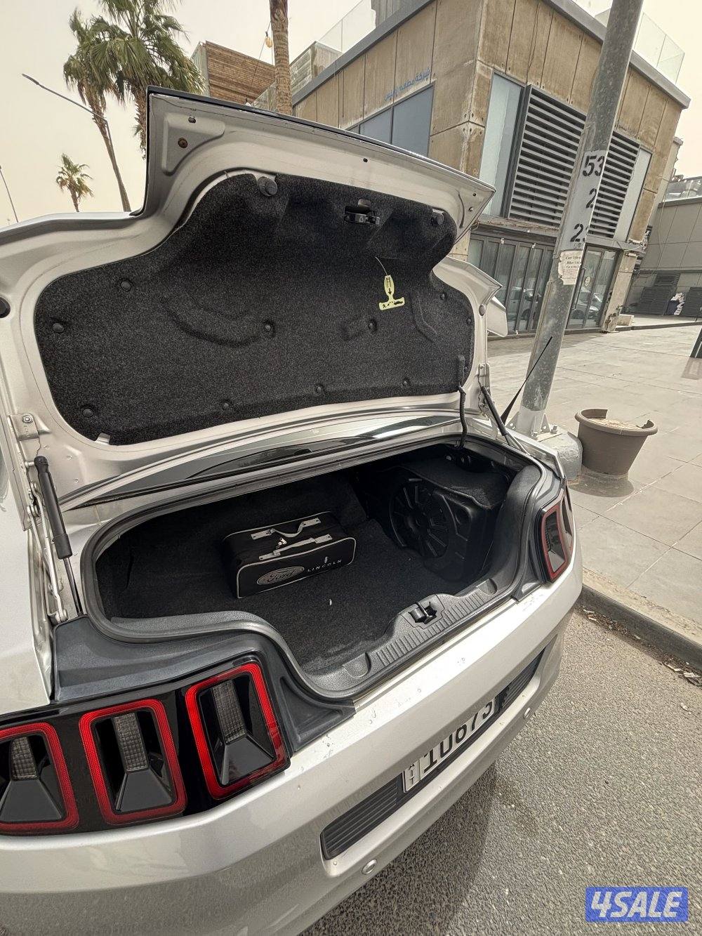 موستنق ٢٠١٣7