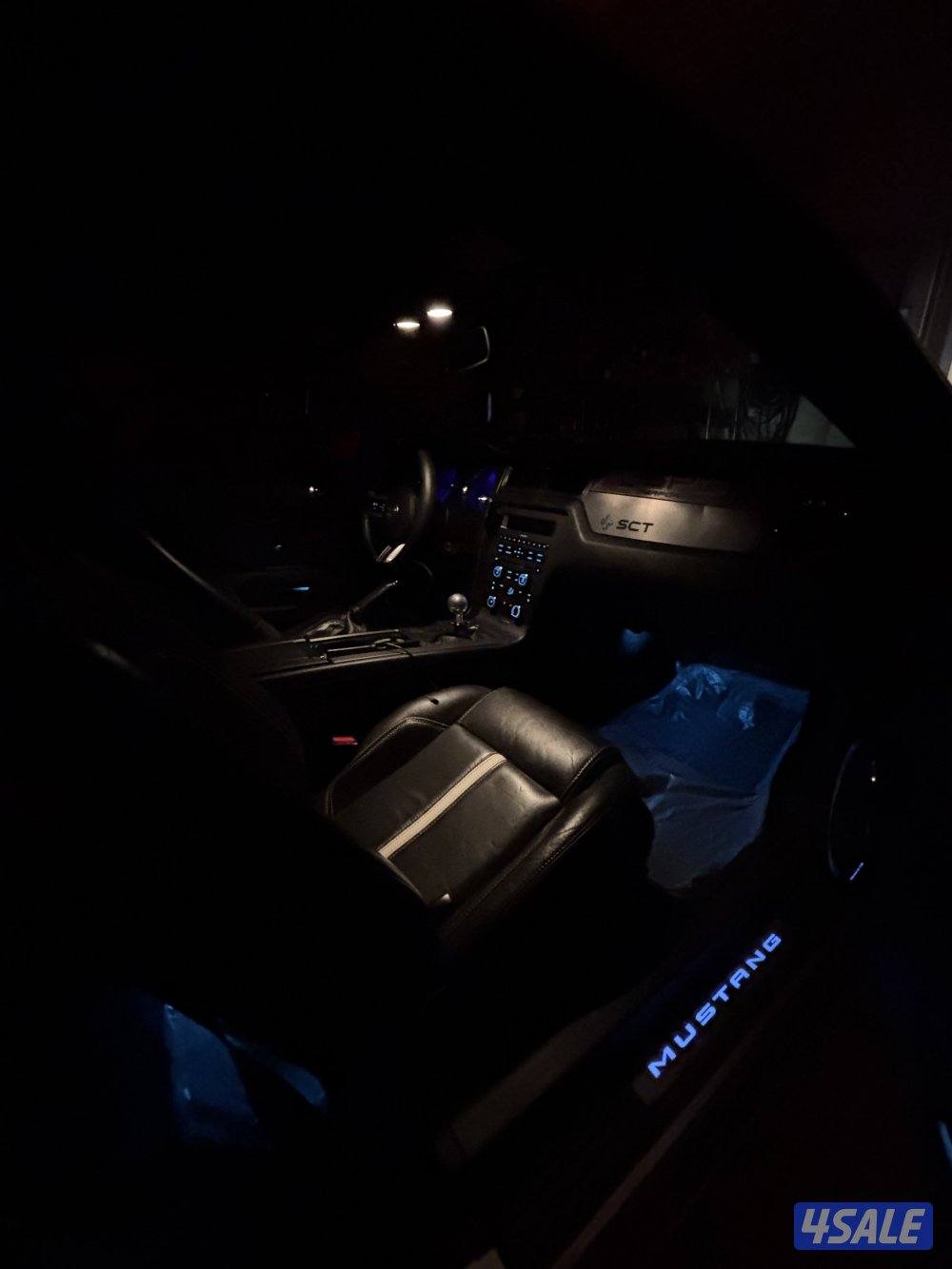 موستنق ٢٠١٣8