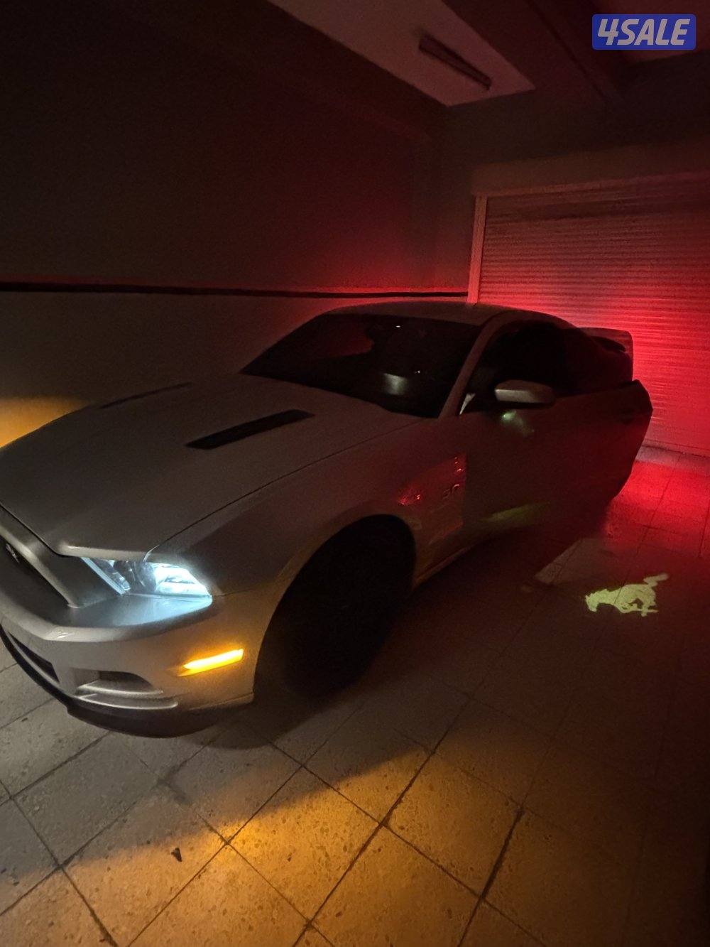 موستنق ٢٠١٣9