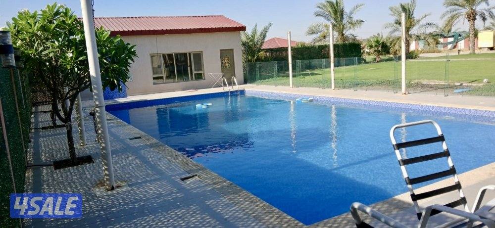 للايجار اليومي مزارع في الوفرة للعوائل فقط0