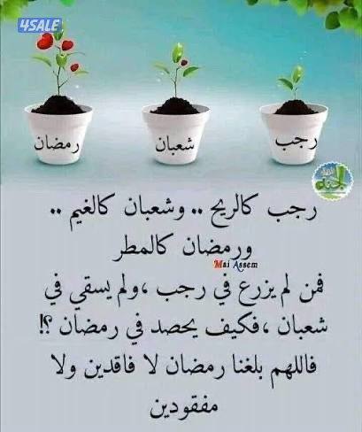 شيف وجبات سريعة وجريل باحث عن عمل0