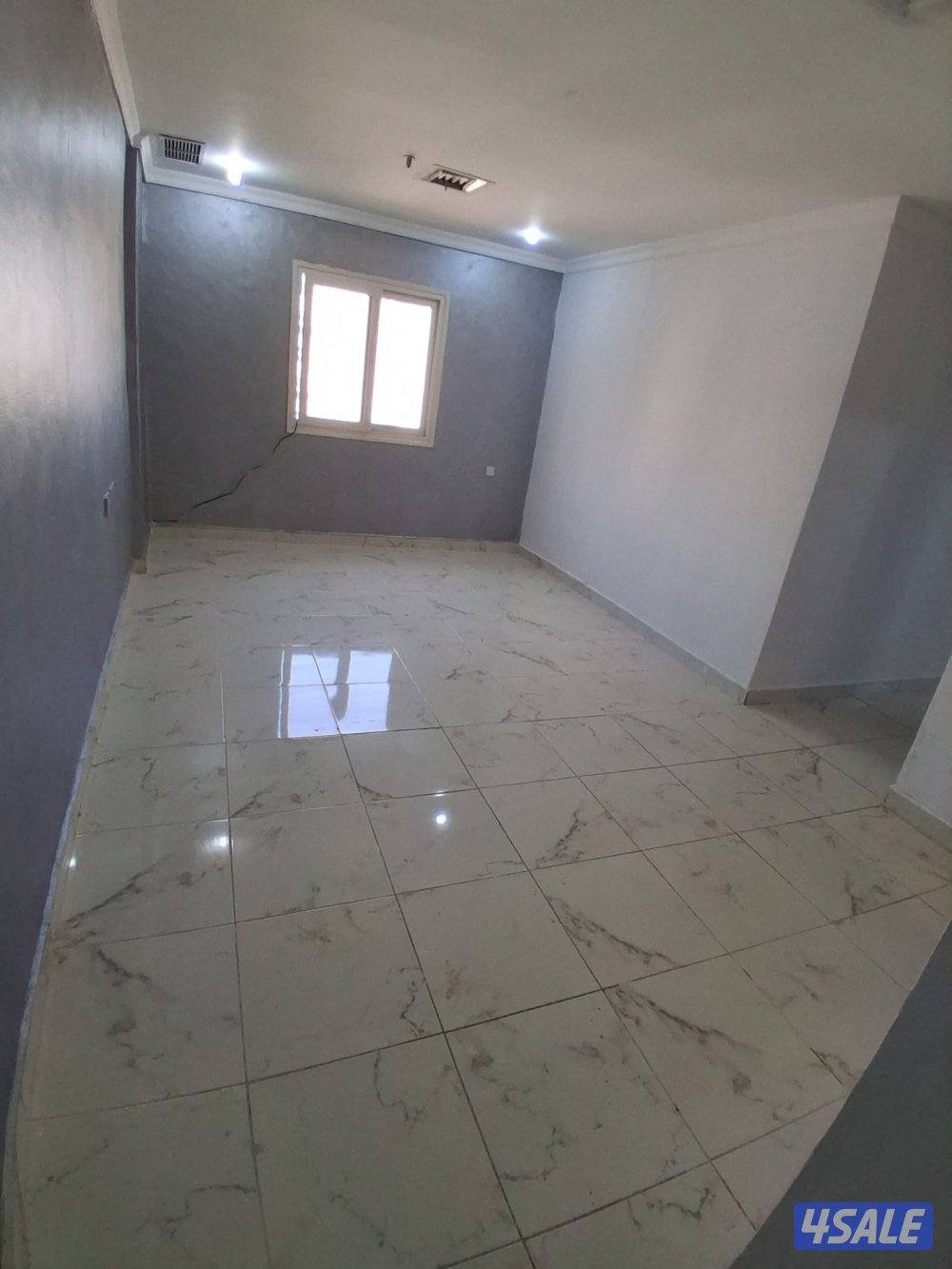 ميدان حولي0