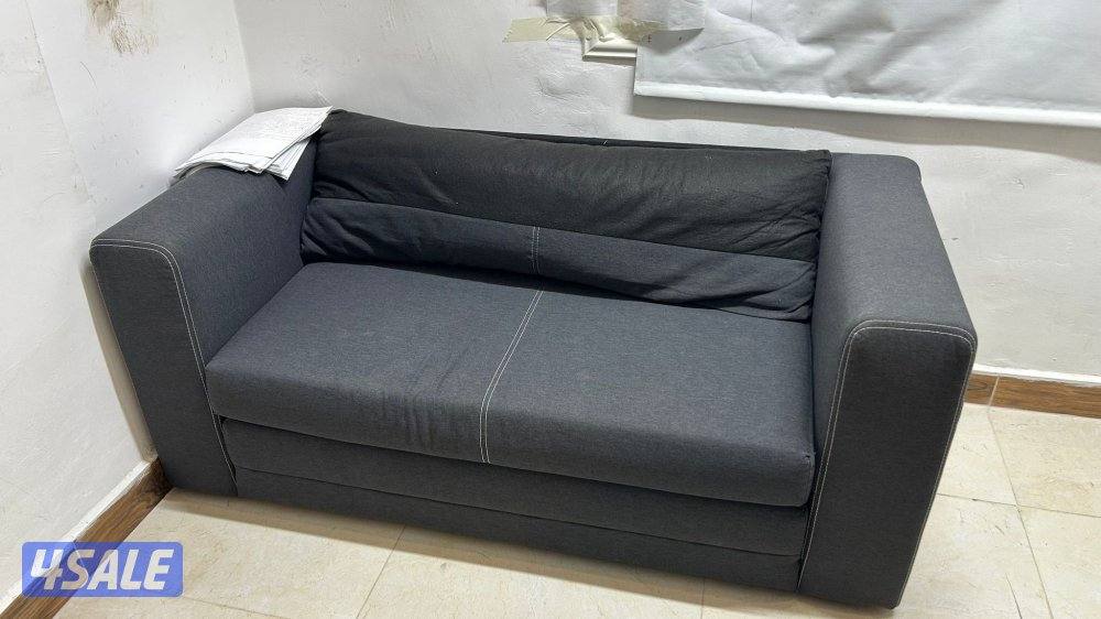 Sofa cum Bed along with Fridge with 10 year warranty1