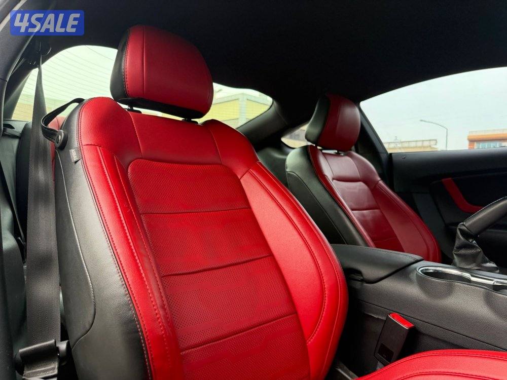 MUSTANG GT 5.0 V8 _20199