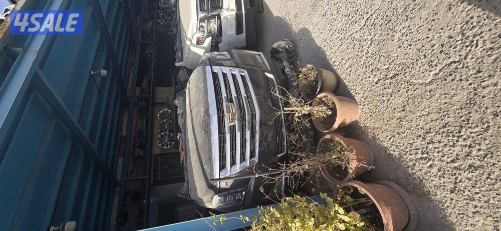 سكراب النعايم السالمي6