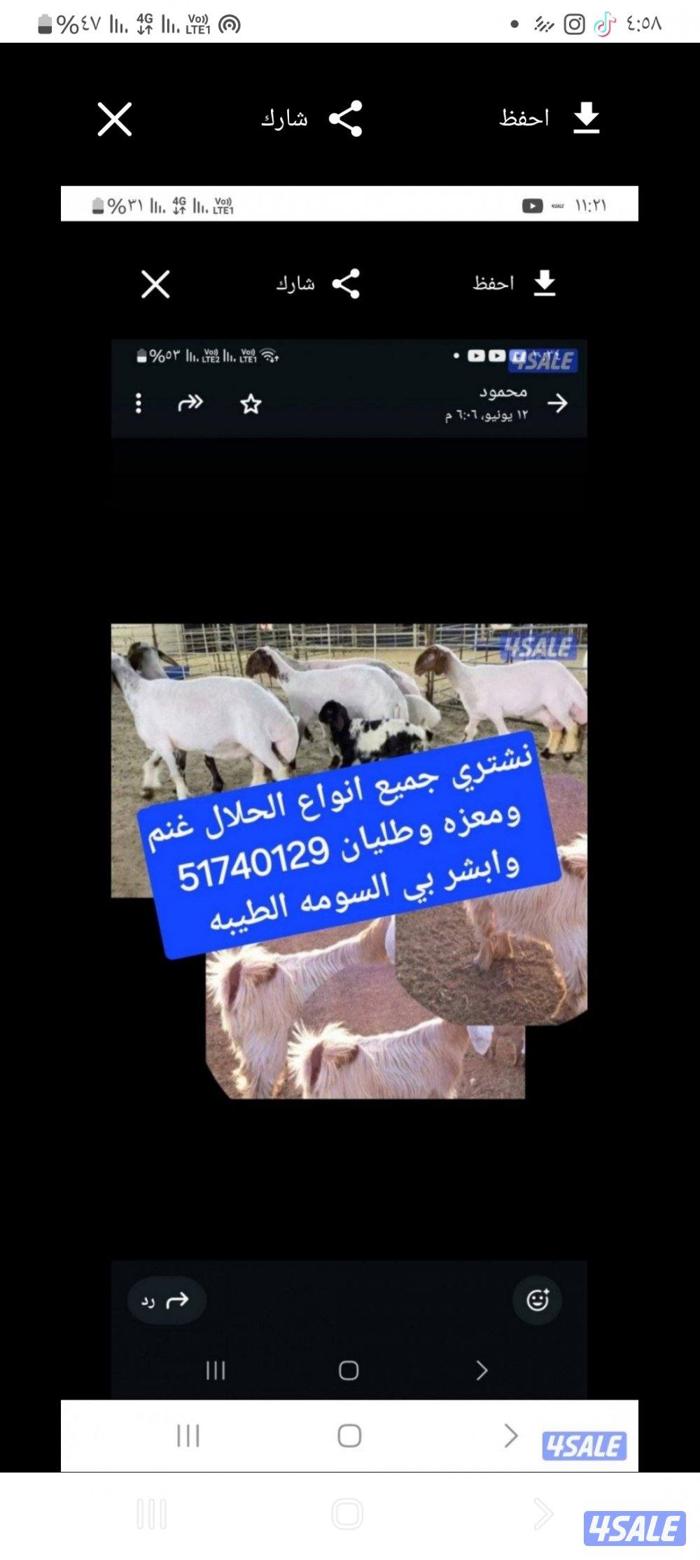 نشتري غنم ومعزه والعدد مفتوح0