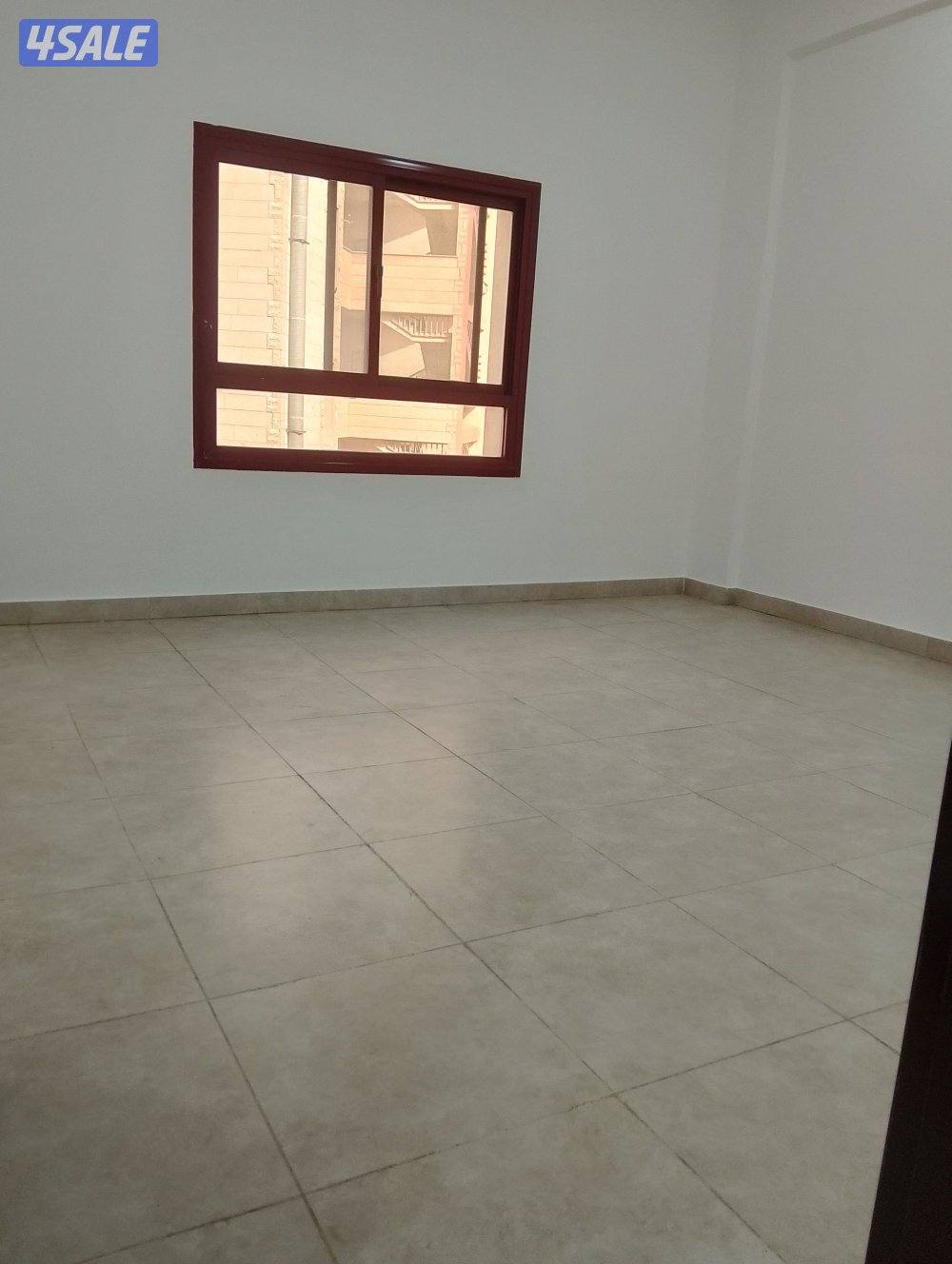 شقة للايجار1