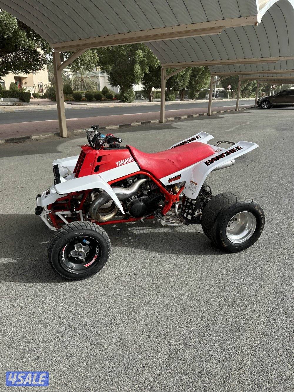 بانشي مافي لحيم0