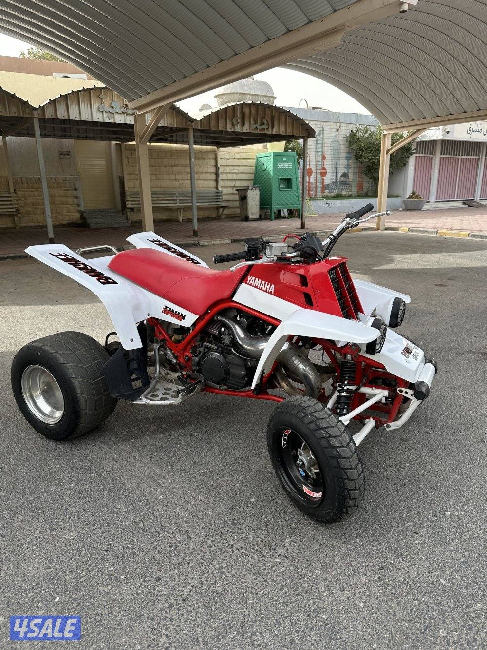 بانشي مافي لحيم1