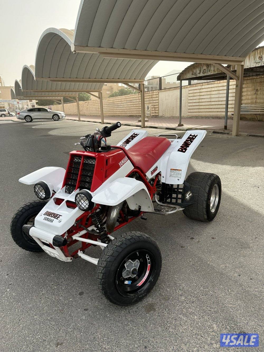 بانشي مافي لحيم6