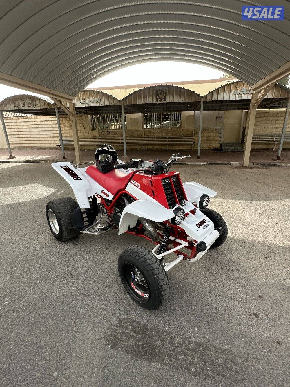 بانشي مافي لحيم7