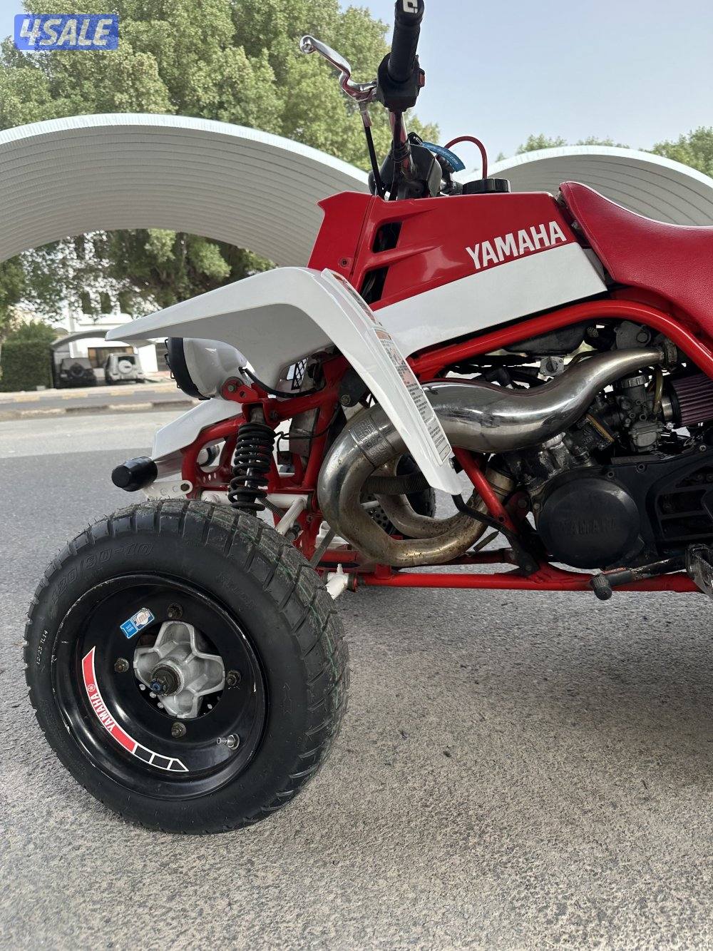 بانشي مافي لحيم9